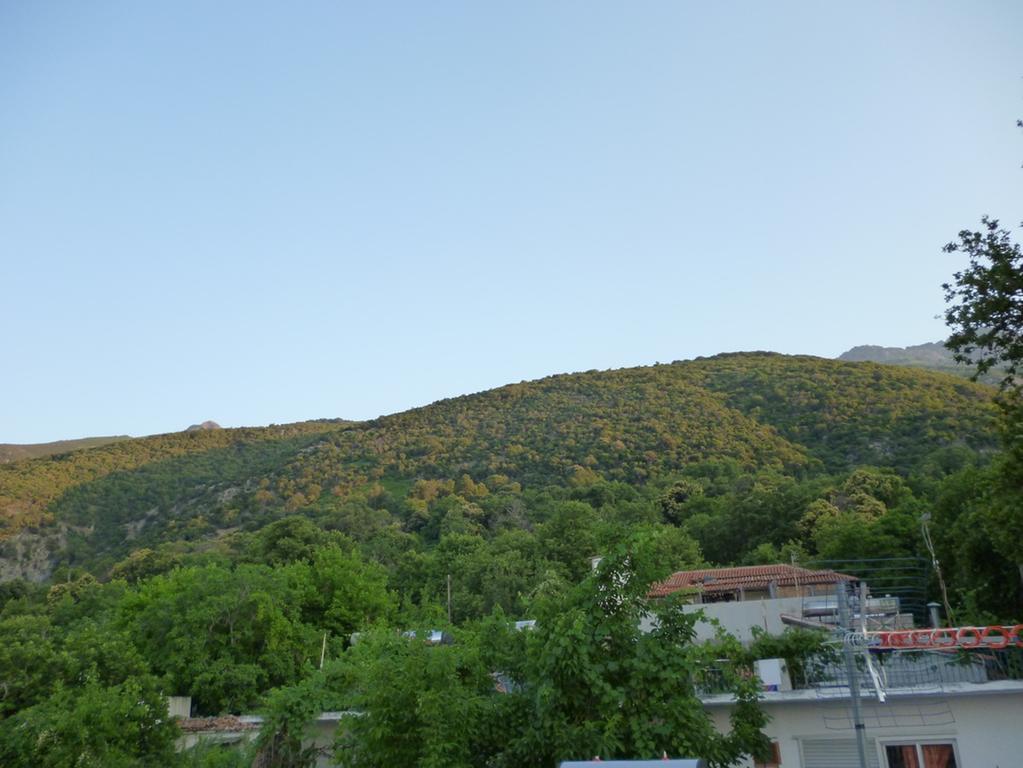 Hotel Galini Samothraki Therma  Esterno foto
